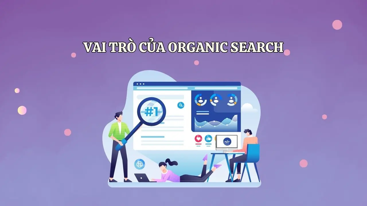 organic search là gì